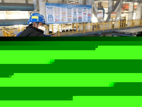 我省专家博士后科技服务团走进黄石，为信息技术咨询服务注入新动能